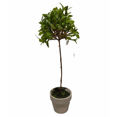 Sulivans Mini Leaf Topiary | Putti Fine Furnishings Canada