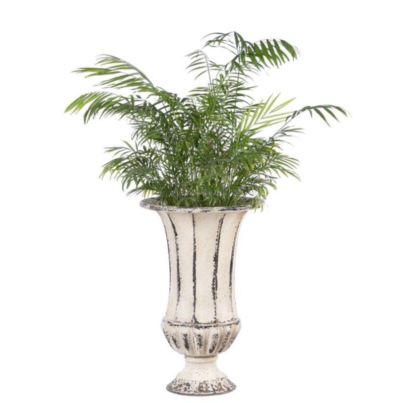 Medium White Washed Metal Urn | Putti Fine Furnishings Canada