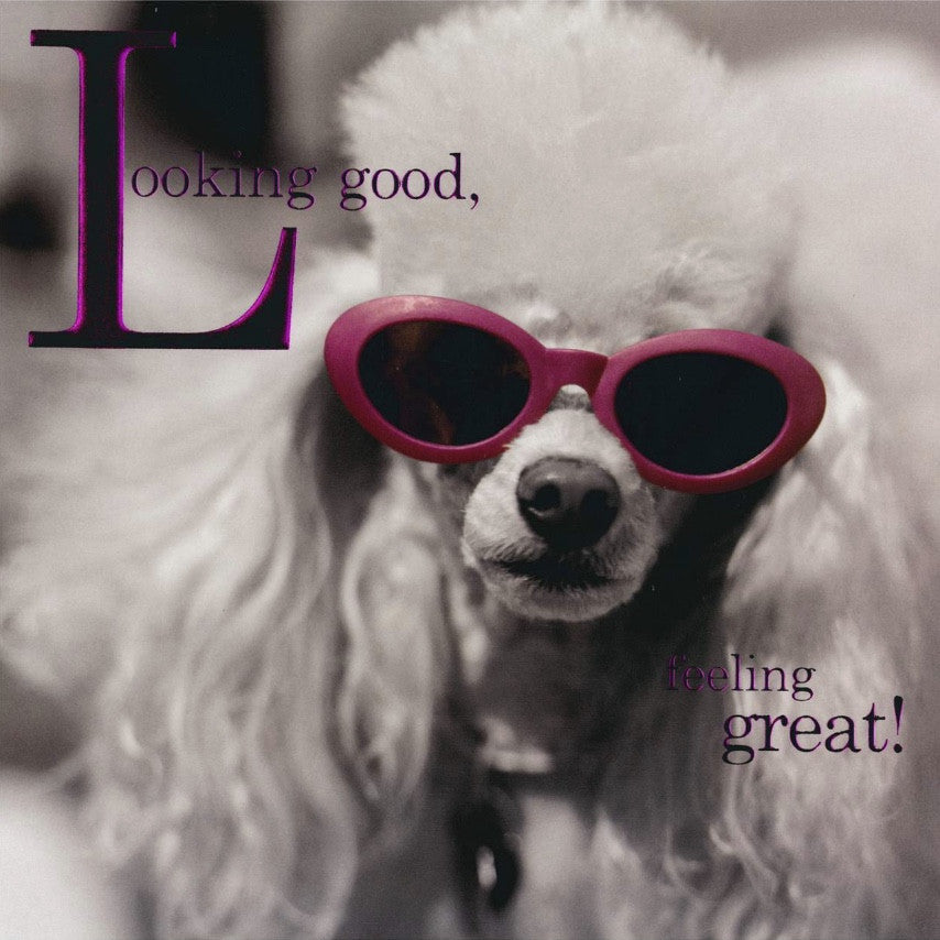 "Looking Good... Feeling Great" Poodle Card, JE-Jannex Enterprises, Putti Fine Furnishings