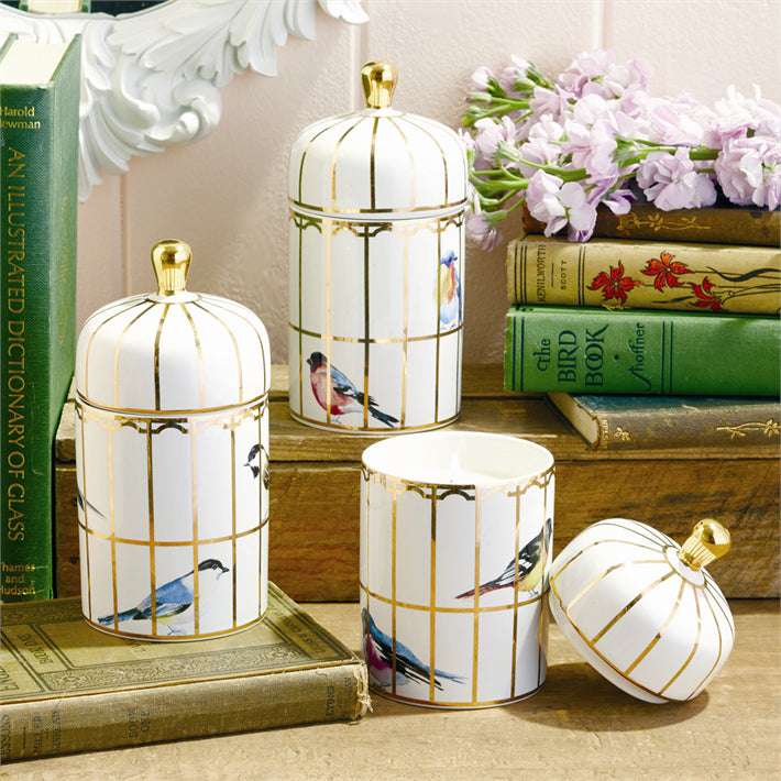  Gilded Cage Verbena Candle, TC-Two's Company, Putti Fine Furnishings