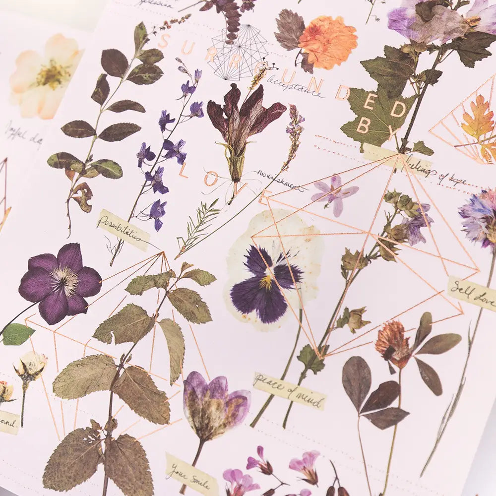 Love Garden Greeting Card