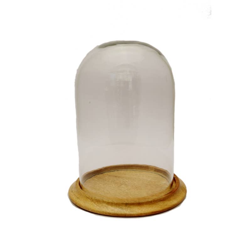 Glass Cloche on Wooden Base - Small