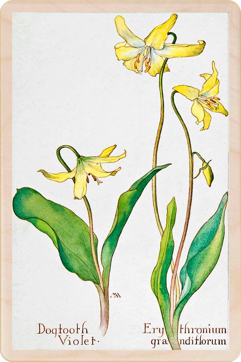 Dogtooth Wood Magnet