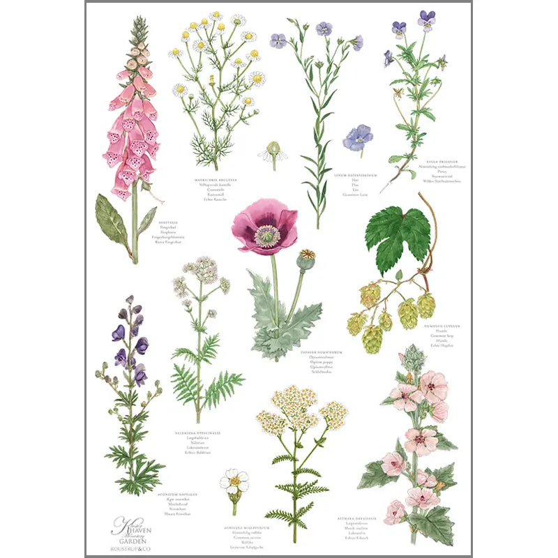 Monestary Garden Organic Tea Towel | Putti Fine Furnishings Canada