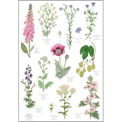 Monestary Garden Organic Tea Towel | Putti Fine Furnishings Canada