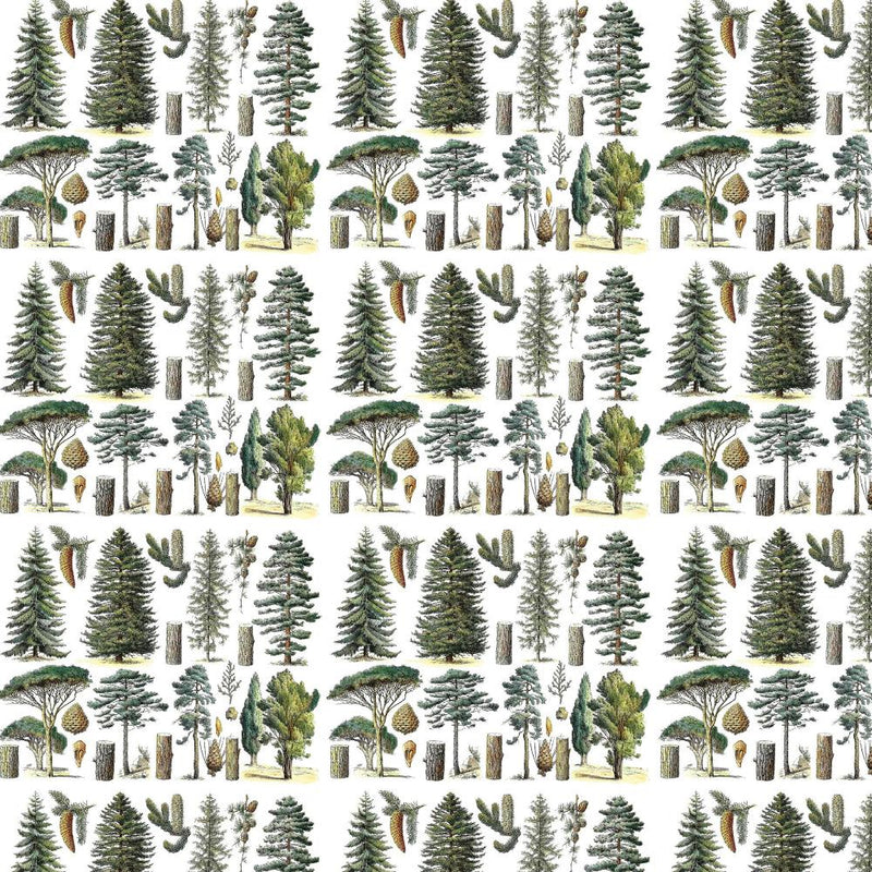 Conifer Forest Gift Wrap Roll