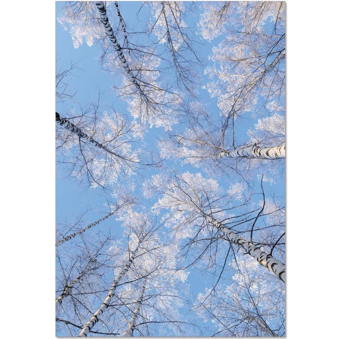 Tree Tops Winter Seasonal Card | Putti Celebrations