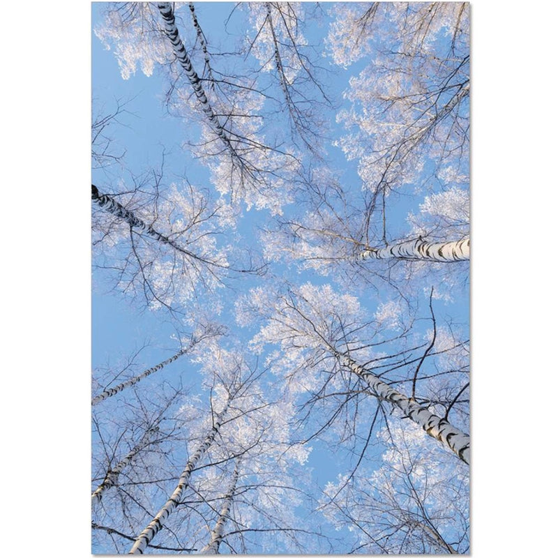 Tree Tops Winter Seasonal Card | Putti Celebrations