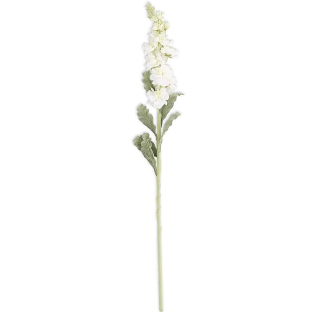 White Stock Flower Stem