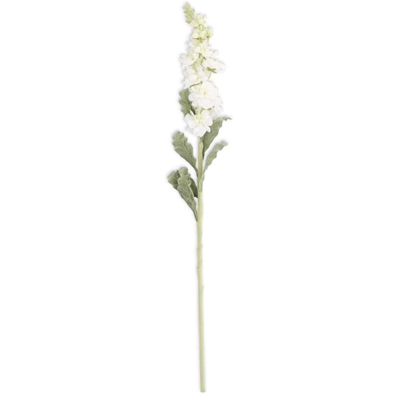 White Stock Flower Stem