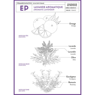 Compagnie de Provence Liquid Soap 1000ml Aromatic Lavender | Putti Canada