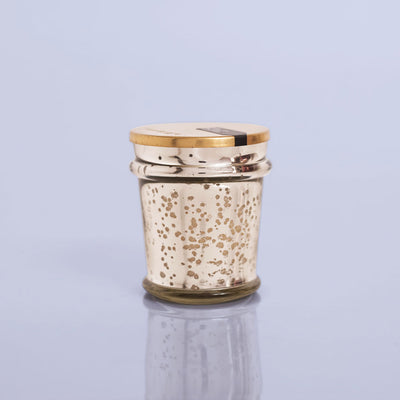 Capri Blue Havanna Vanilla Mercury Found Glass Candle