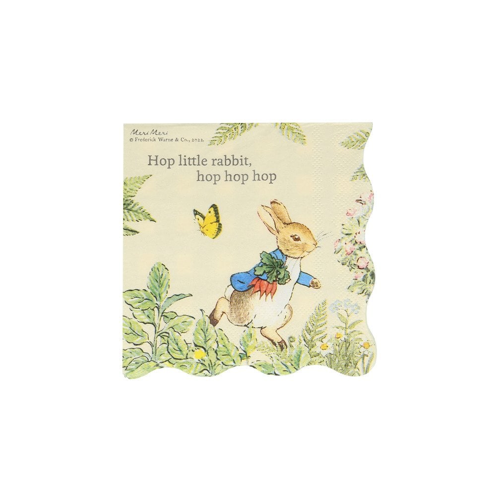 Meri Meri Peter Rabbit in the Garden Paper Napkins - Small | Putti Party Supplies