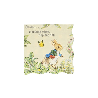 Meri Meri Peter Rabbit in the Garden Paper Napkins - Small | Putti Party Supplies