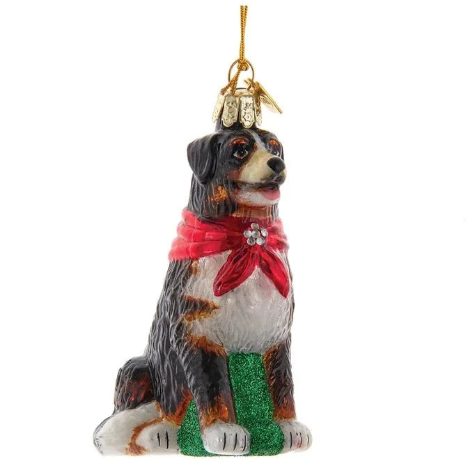 Kurt Adler Bernese Mountain Dog with Red Bow Glass Ornament | Putti Christmas
