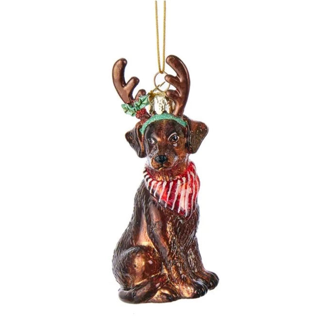 Kurt Adler Chocolate Labrador with Antlers Glass Ornament | Putti Christmas