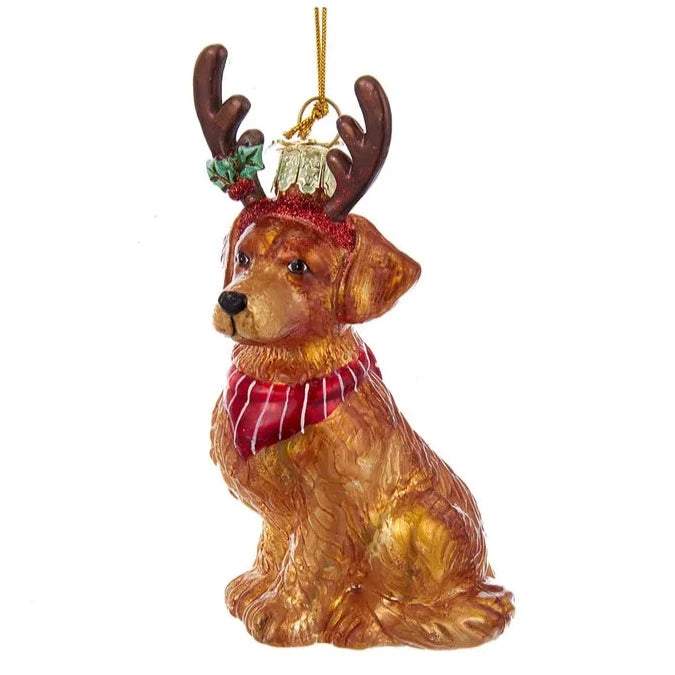 Kurt Adler Golden Retriever with Antlers Glass Ornament | Putti Christmas