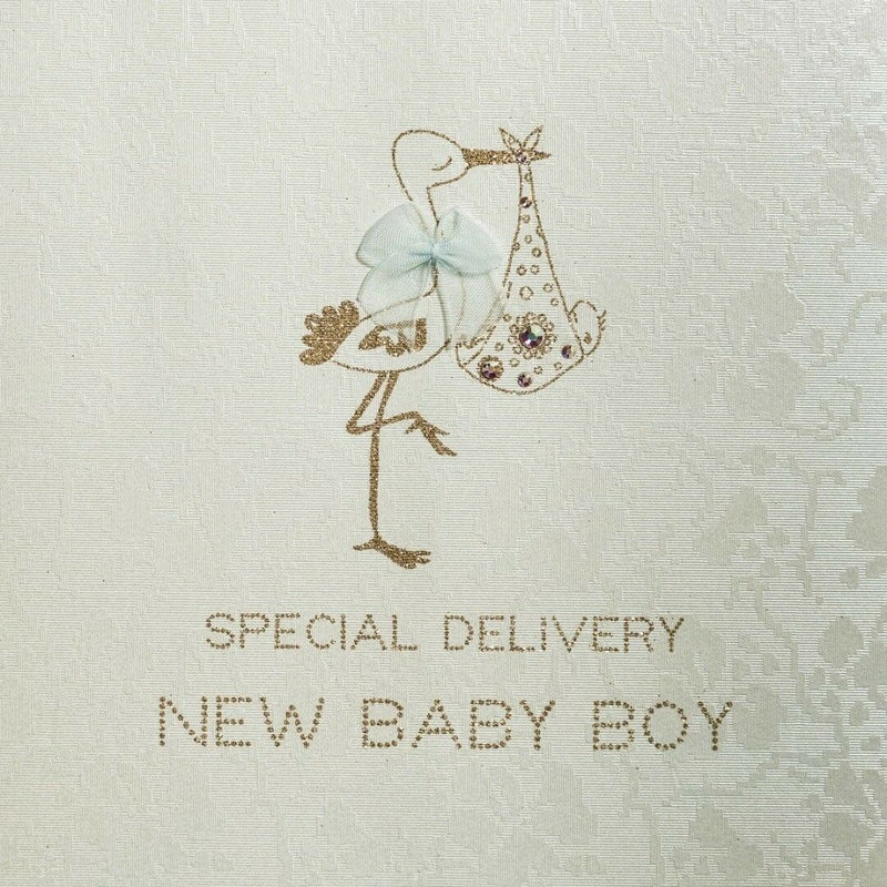Five Dollar Shake "Special Delivery New Baby Boy" Stork Greeting Card | Putti