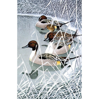 Museums & Galleries - Winter Birds Boxed Christmas Cards | Putti