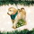 Old World Christmas Cat & Dog Ornaments