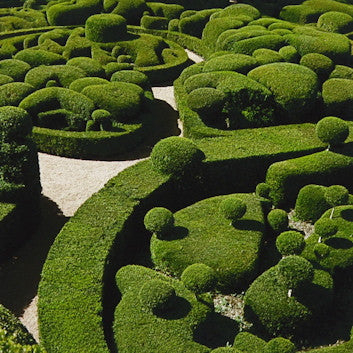 "Jardin Vert" Series