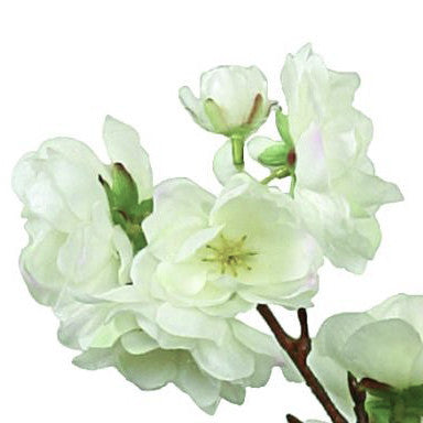 Floral Blossom Branches