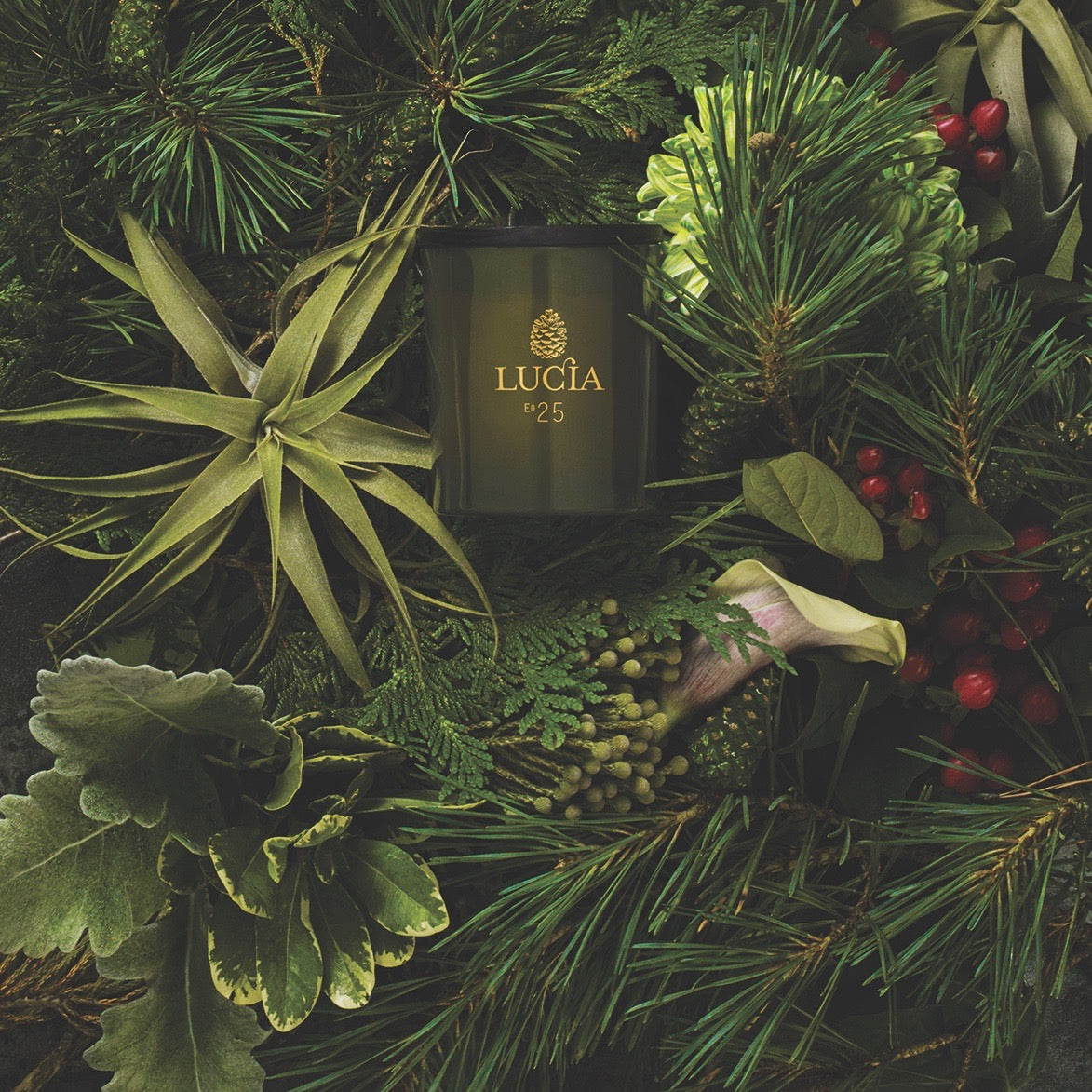 Lucia Les Saisons Holiday Collection