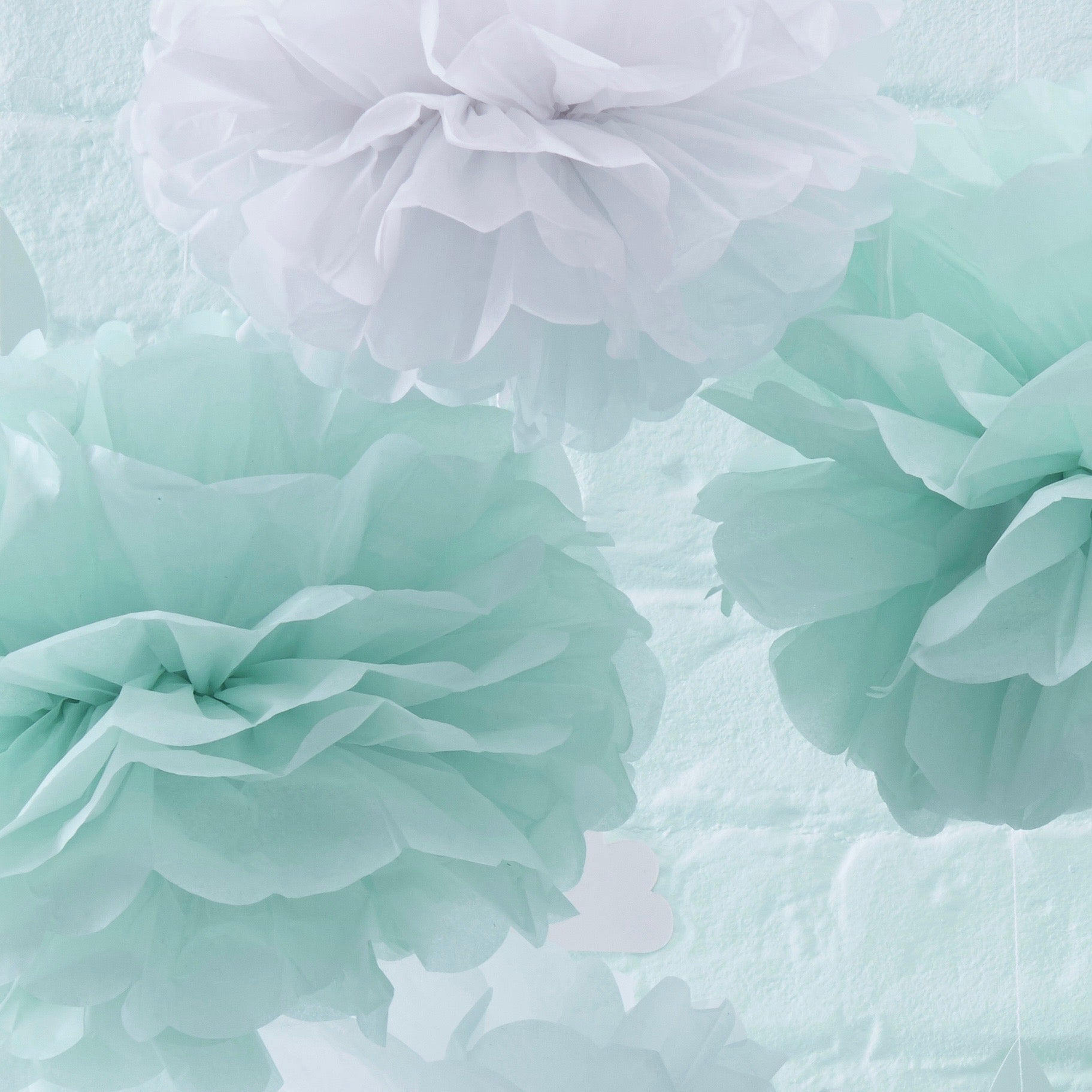 Tissue Pom Poms