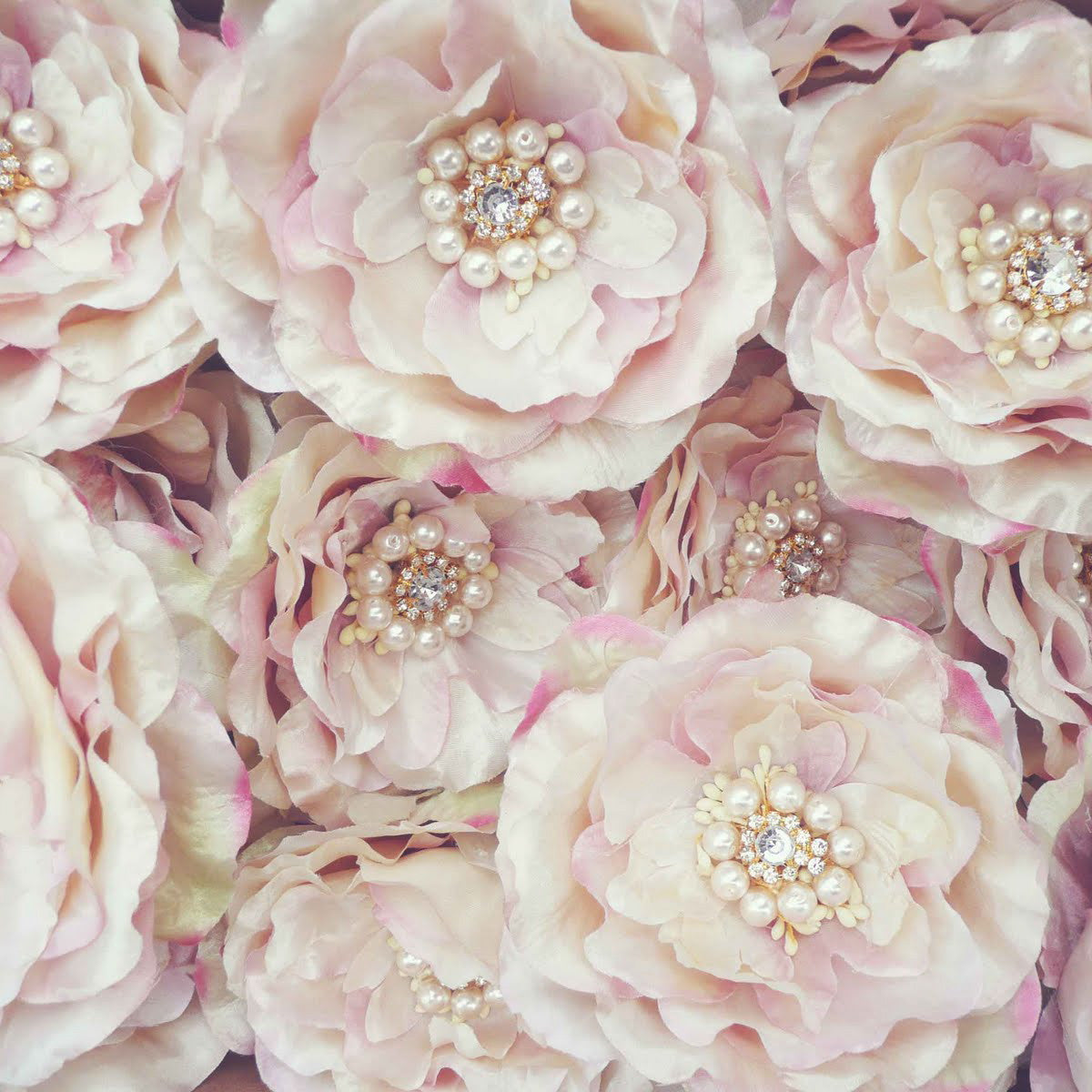 Miss Rose Sister Violet Accessories