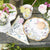 Fairy Themes