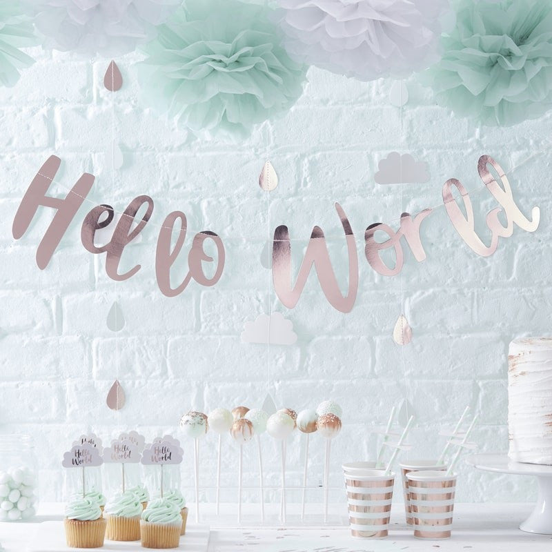 "Hello World" Baby Shower