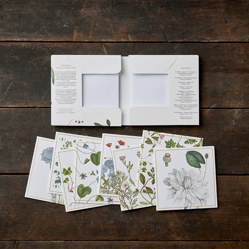 Wild Plants Note Cards