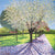 Susan Entwistle White Blossom Greeting Card | Putti Celebrations 
