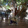 Rosy Rings - Roman Lavender 13 oz Botanical Diffuser