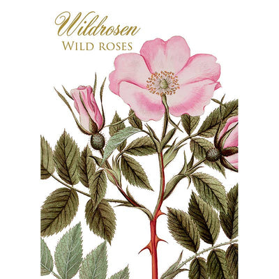 Wild Rose Note Cards