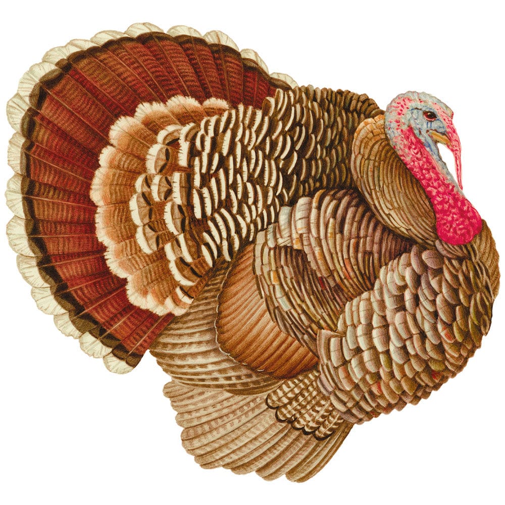 Die-Cut Turkey Paper Placemats