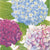 Blue Hydrangea Garden Paper Lunch Napkins