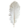 White Ostrich Feather | Putti Christmas Decorations