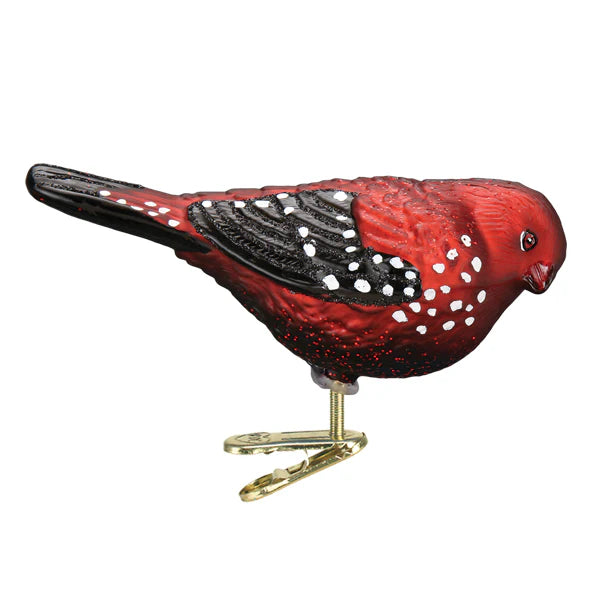 Old World Christmas Strawberry Finch Bird Ornament  | Putti Christmas Decorations