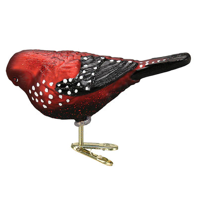 Old World Christmas Strawberry Finch Bird Ornament  | Putti Christmas Decorations