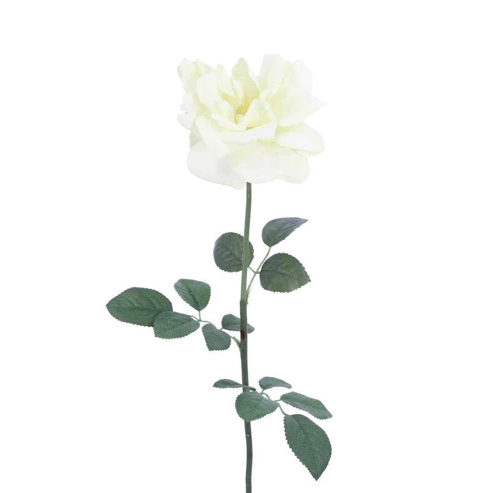 Cream Open Rose Stem | Putti Fine Furnishings 