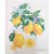 More Joy Lemons Swedish Cloth