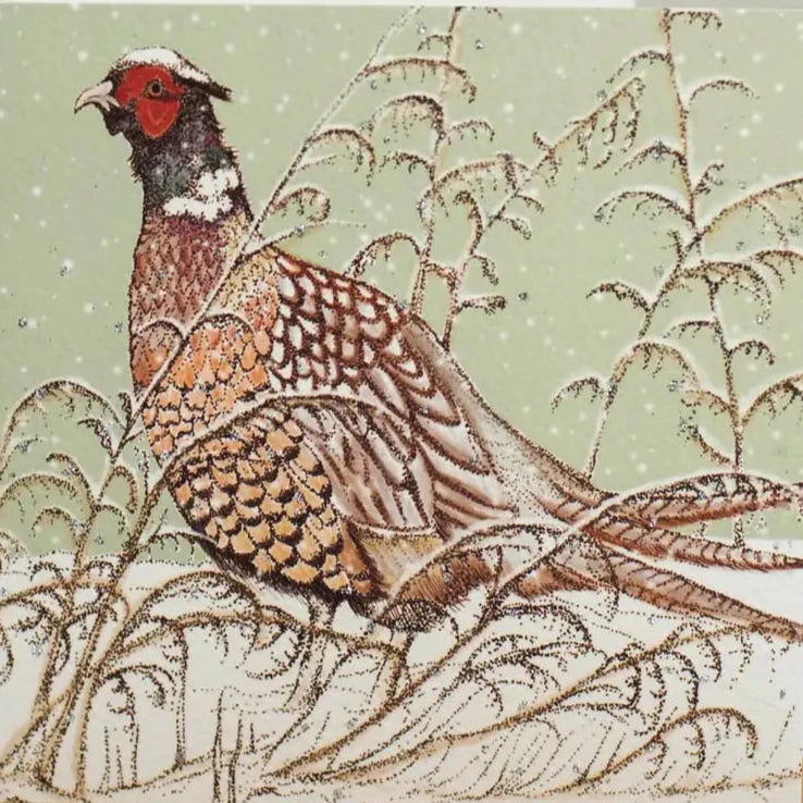 Pheasant Greeting Card