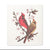Cardinals & Cherry Blossoms Dishcloth | Putti Fine Furnishings 