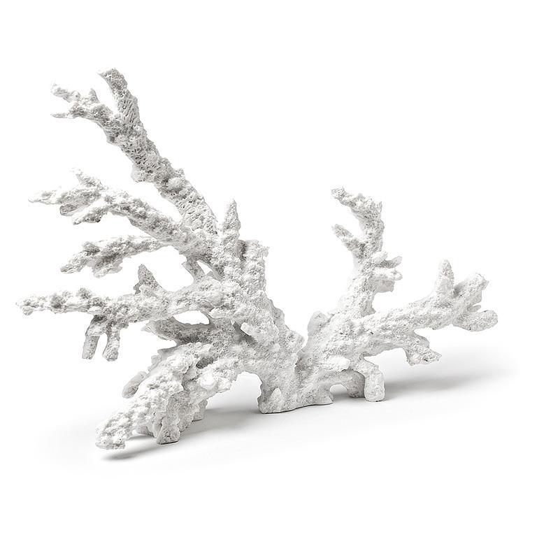 Large Coral Branch