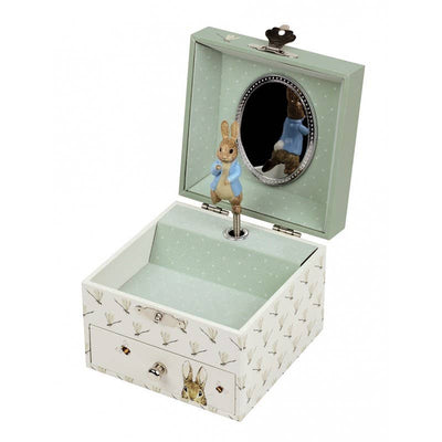 Peter Rabbit Cube Music Box - Dragonfly