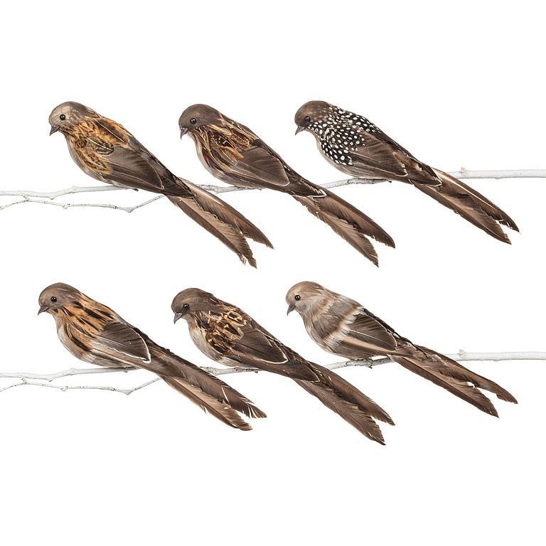 Large Natural Bird Clip with Long Tail