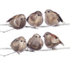 Small Plump Feather Bird Clip