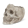 Large Skull Planter | Putti Halloween Decorations