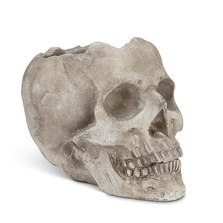 Large Skull Planter | Putti Halloween Decorations 